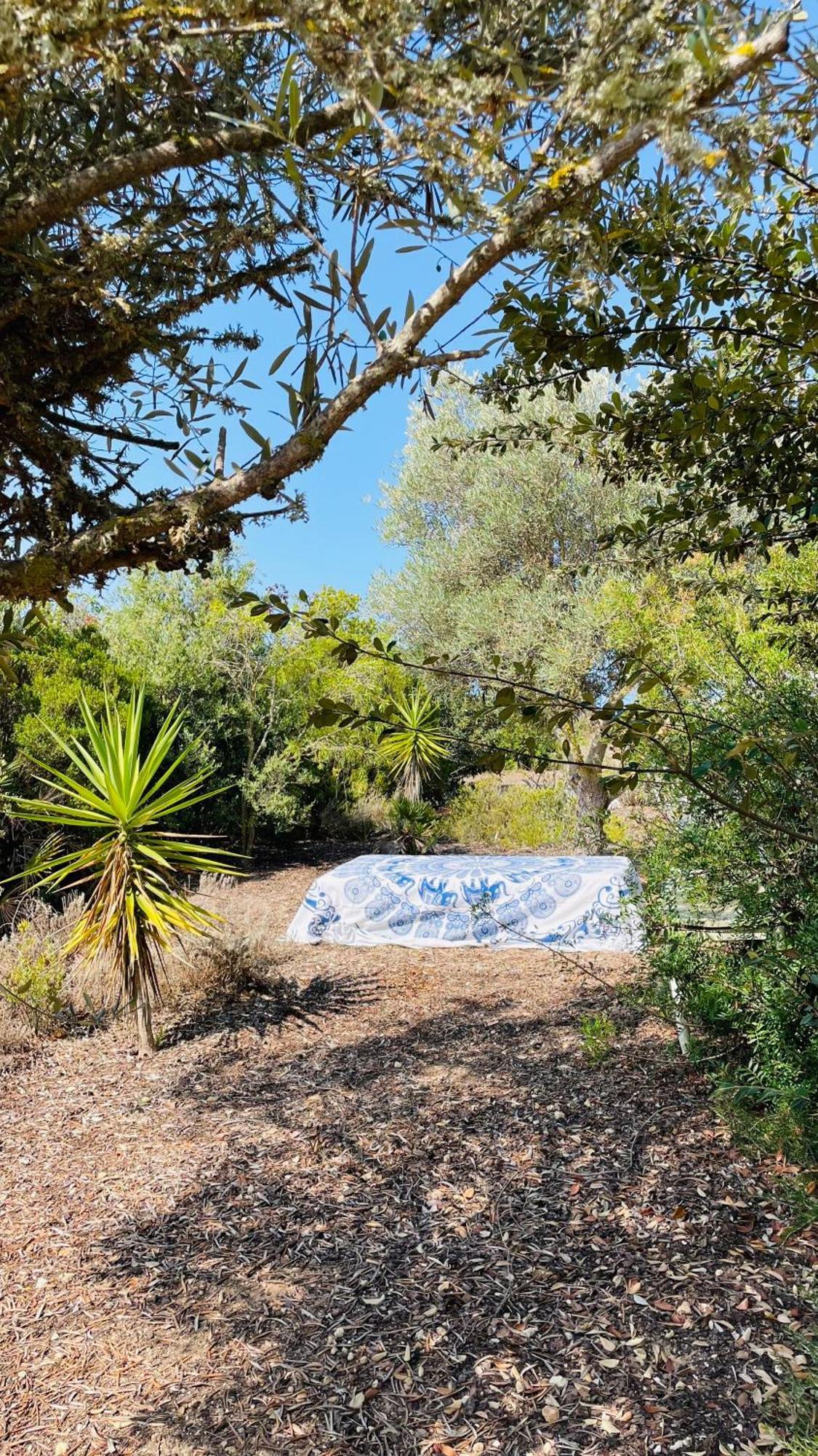 Dona Maria 66 Villa Praia Da Luz Ngoại thất bức ảnh